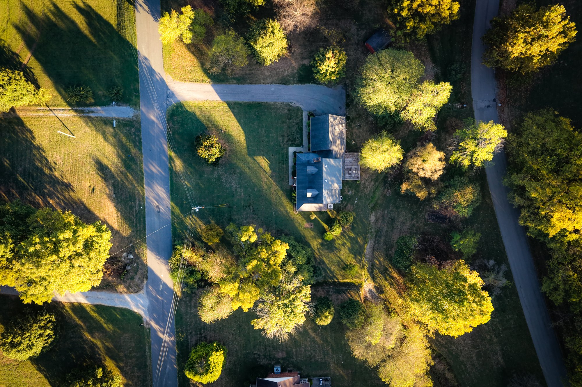 Overhead aerial of home and tree canopy
