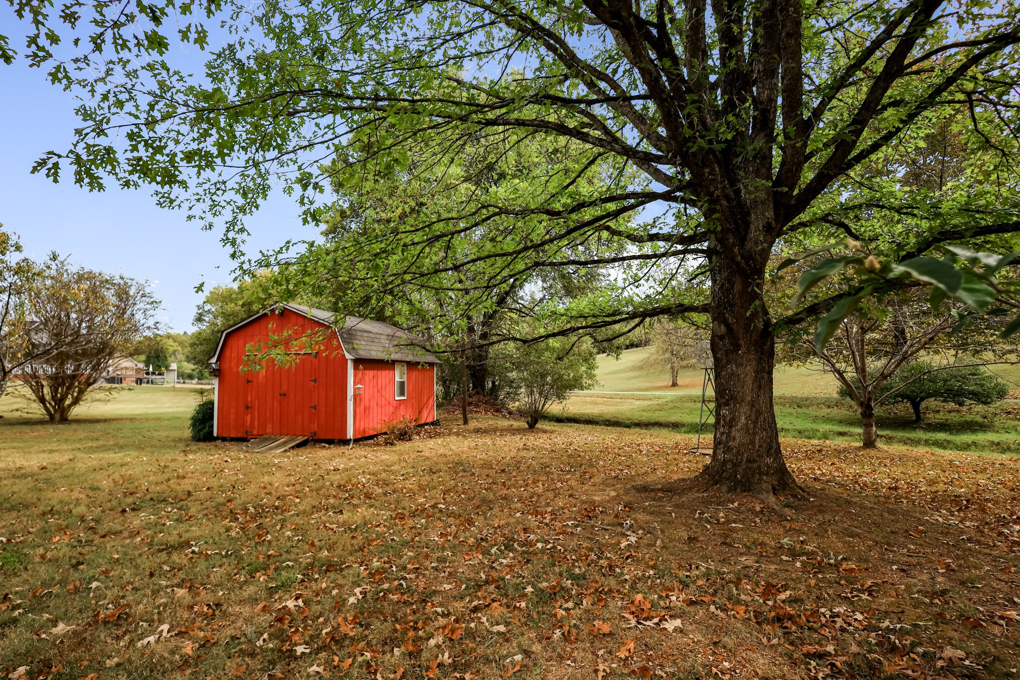 Red outbuilding beneath a mature tree