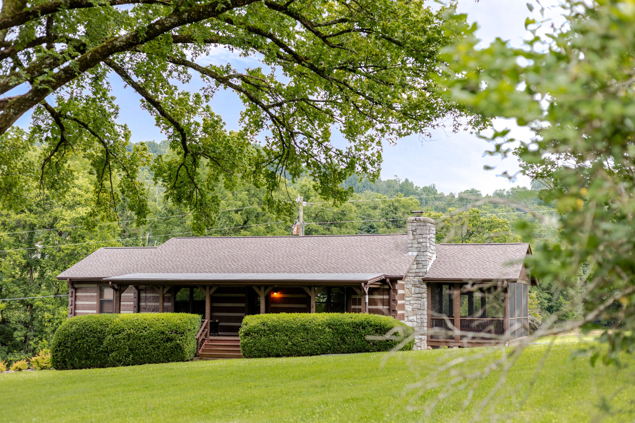 Guest cabin framed by mature trees