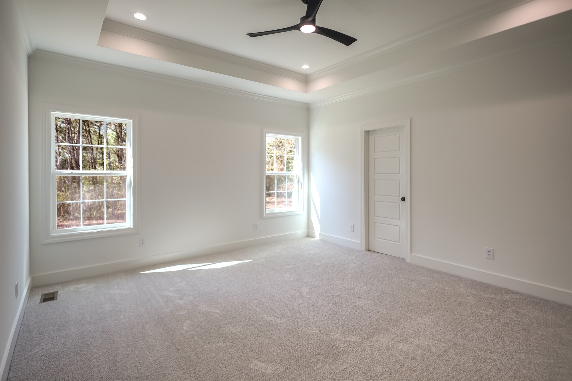 Bedroom with tray ceiling and garden-facing windows