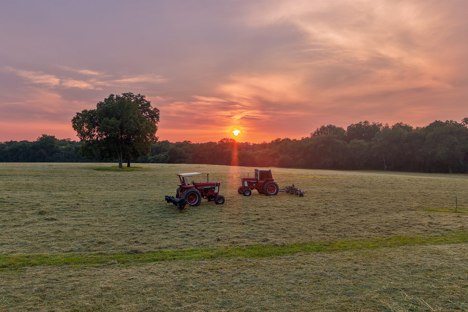 Wallace Thompson Road — sunset across the field