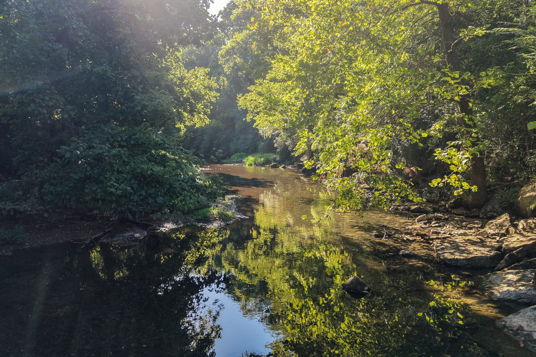 Wallace Thompson Road — water and woodland