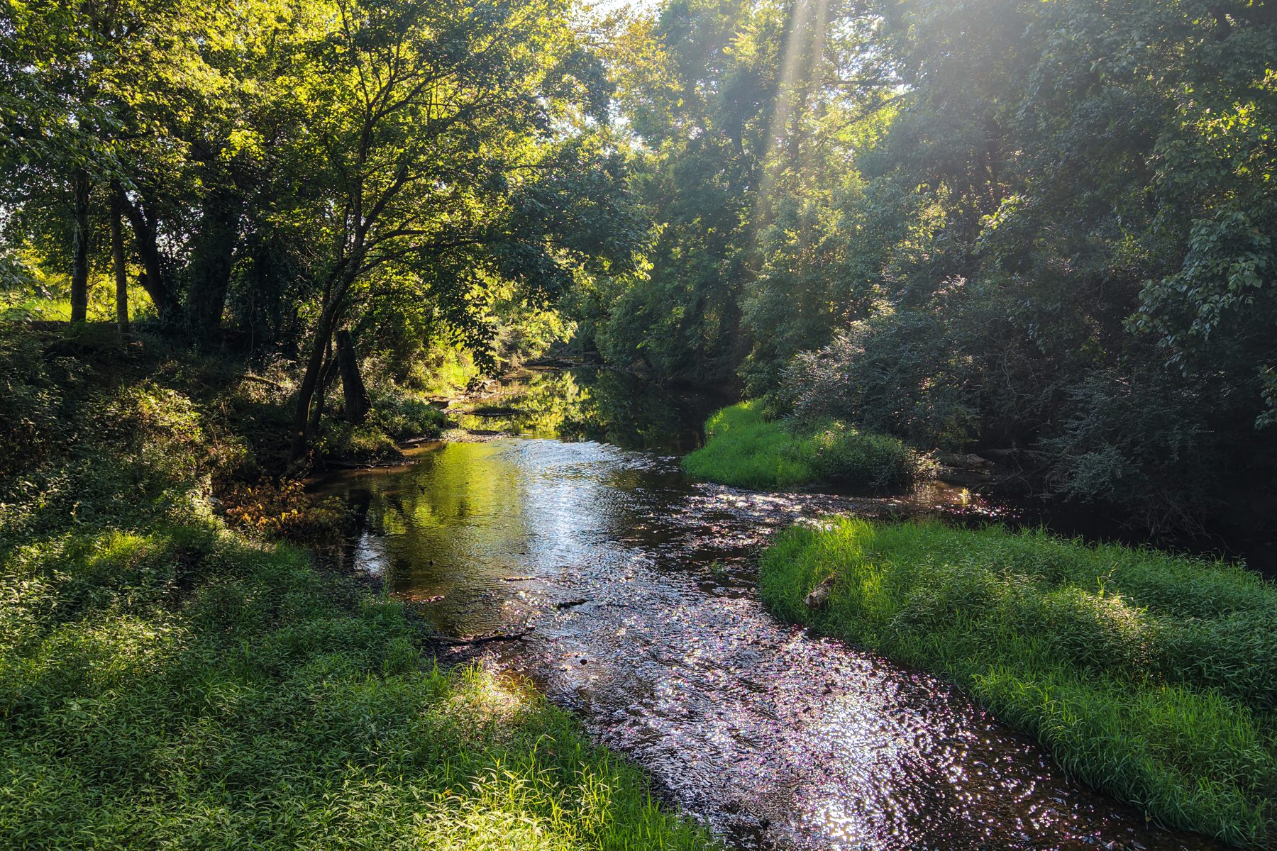 Wallace Thompson Road — the shaded creek