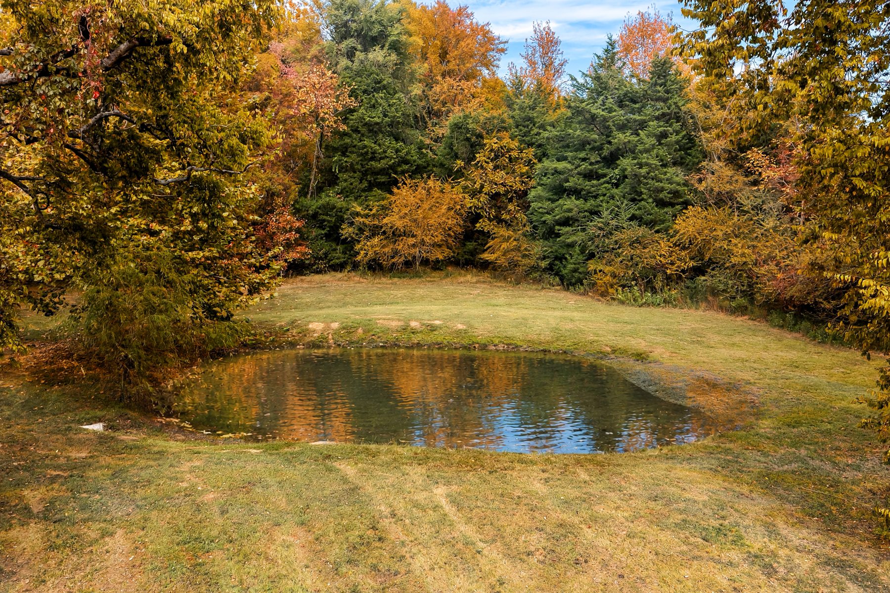 1614 Warner Bridge Road — the woodland pond