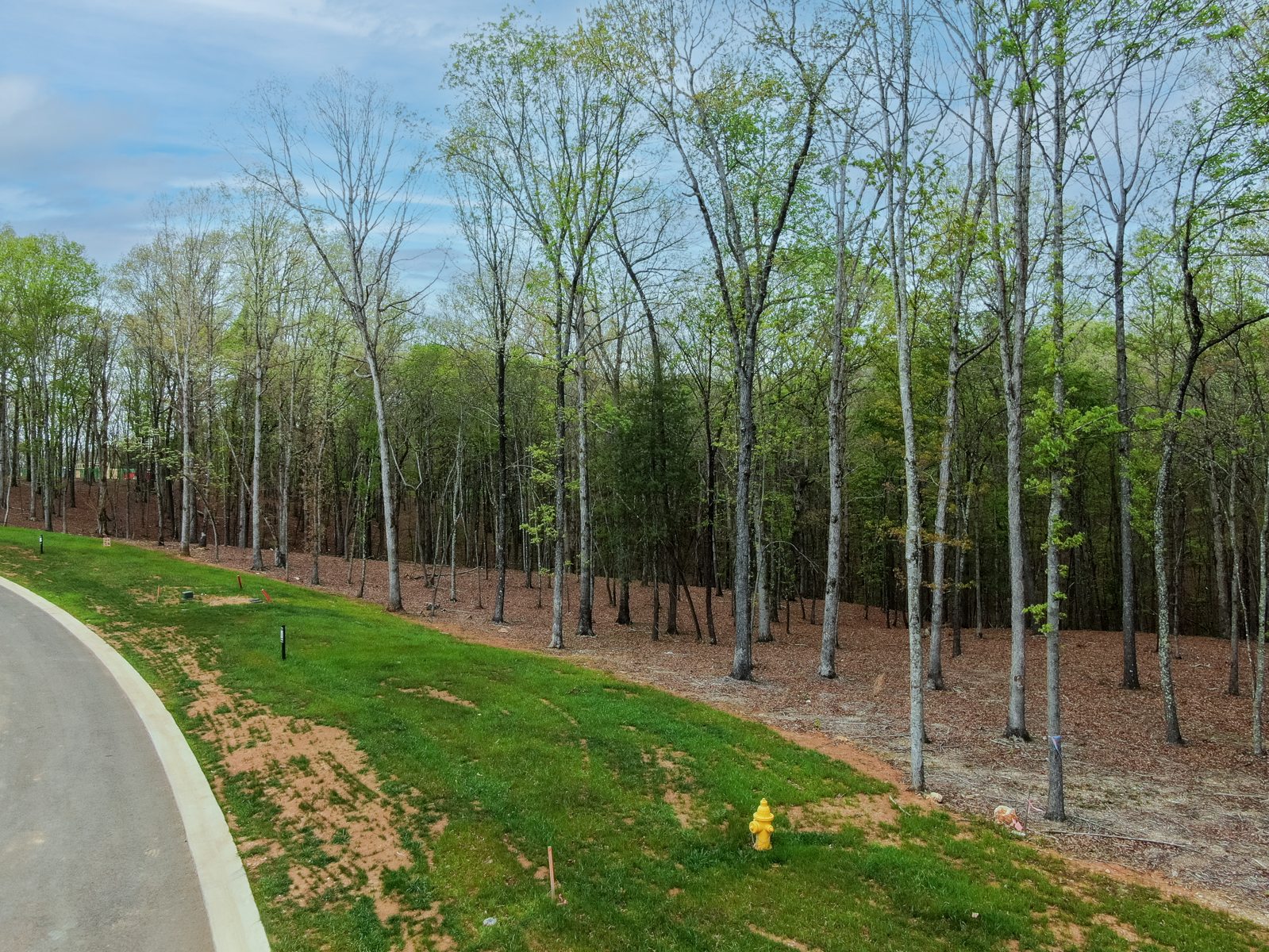 289 Flip Flop Way — the wooded lot