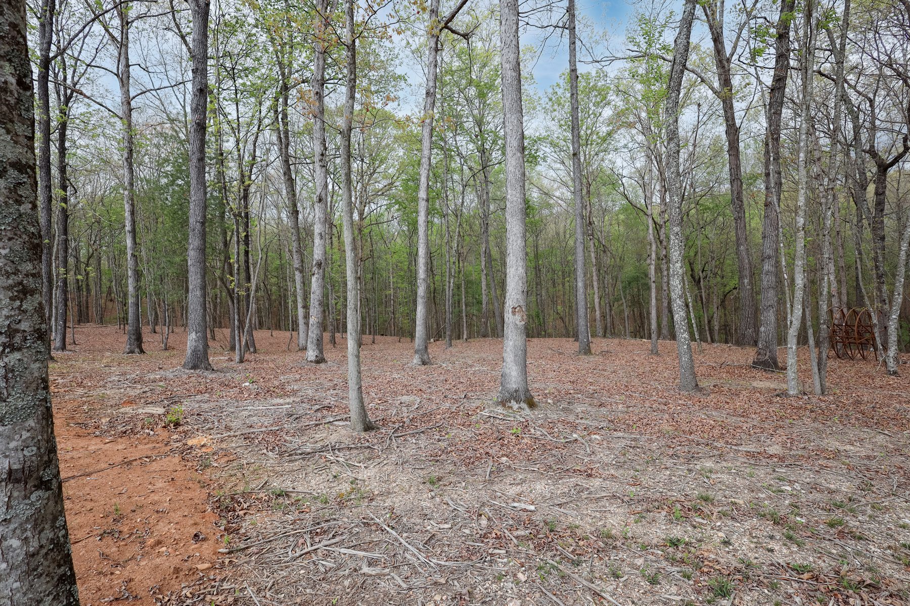 289 Flip Flop Way — beneath the canopy