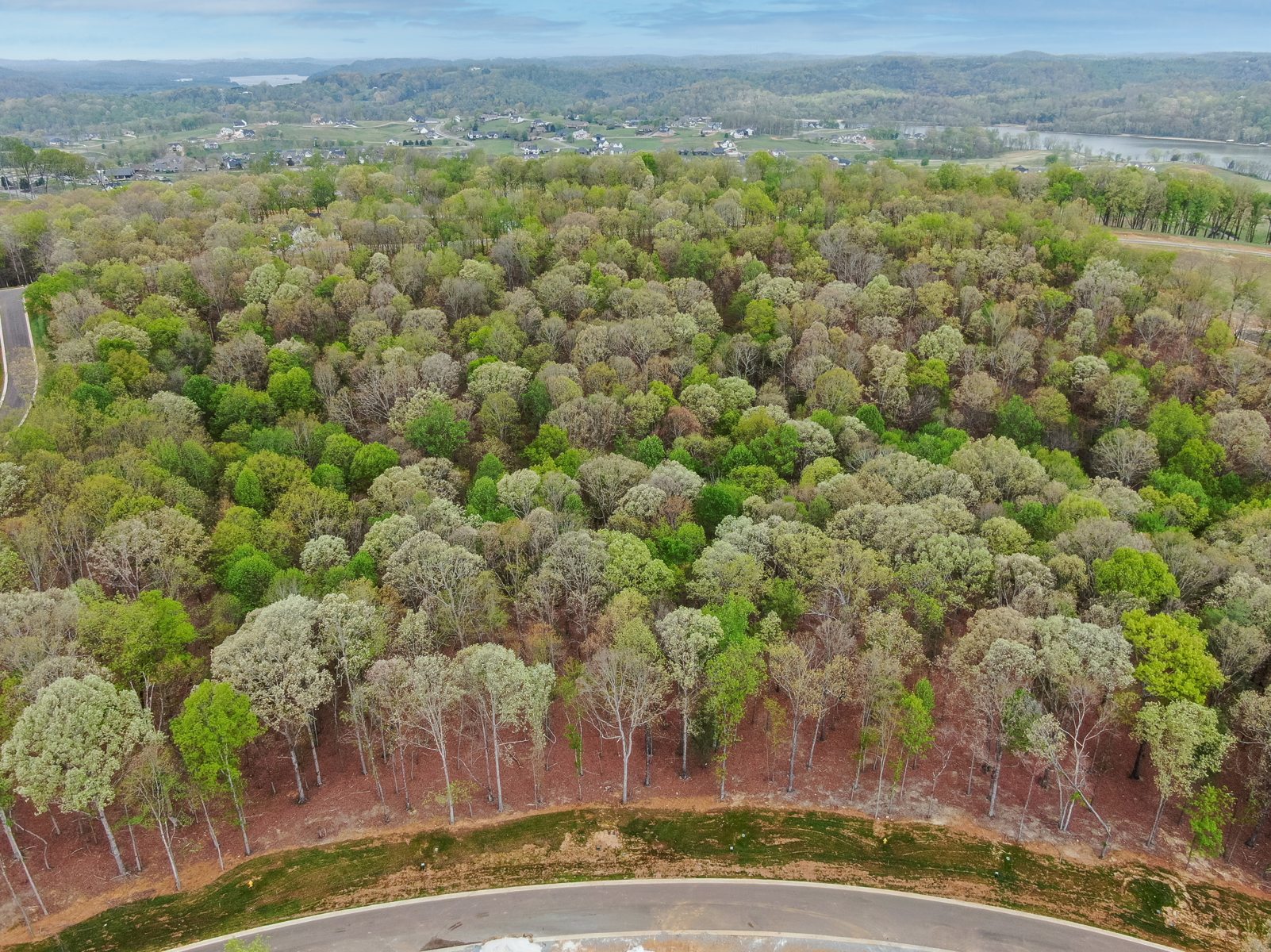 289 Flip Flop Way — tree cover