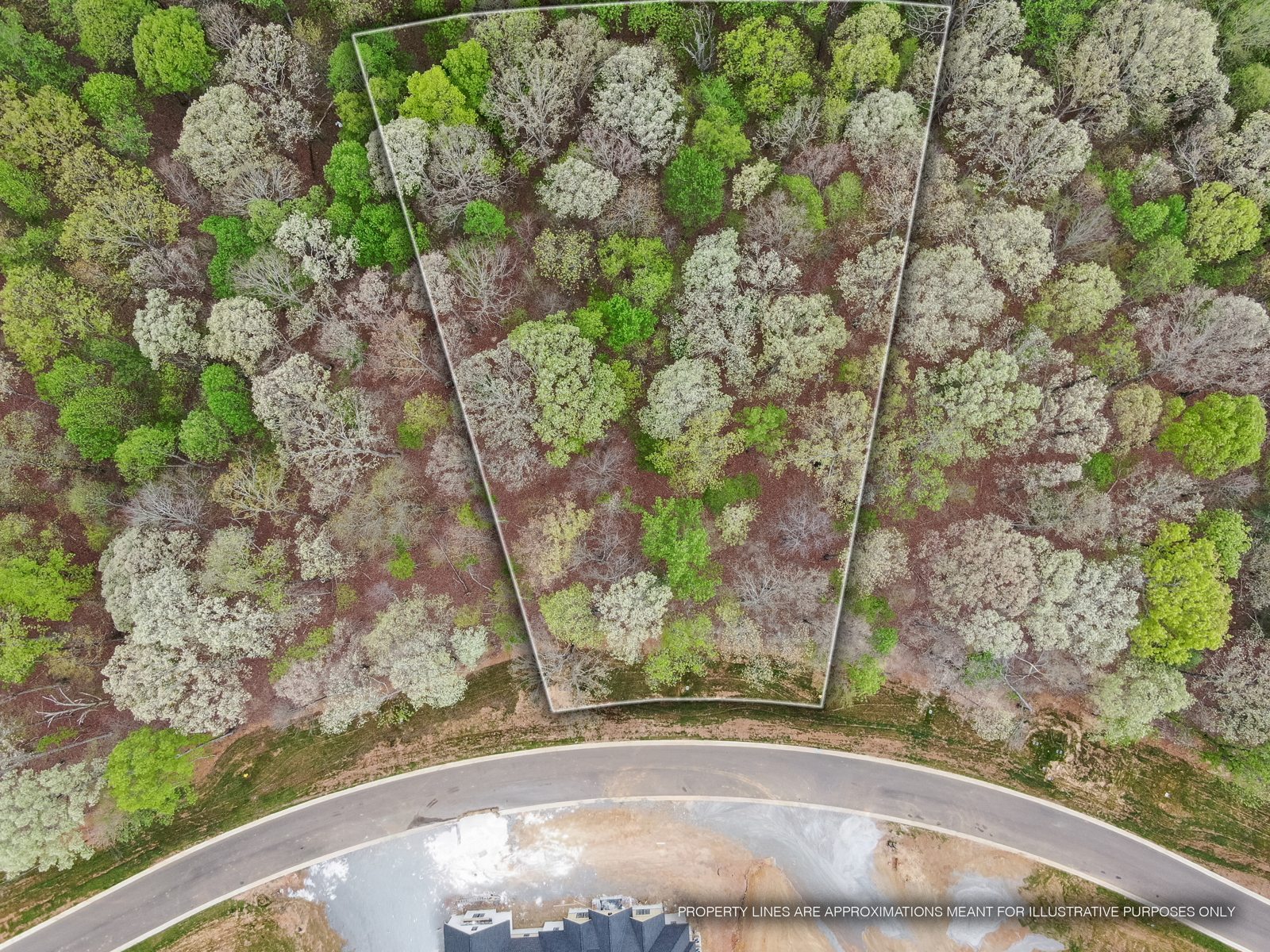 289 Flip Flop Way — the surrounding landscape