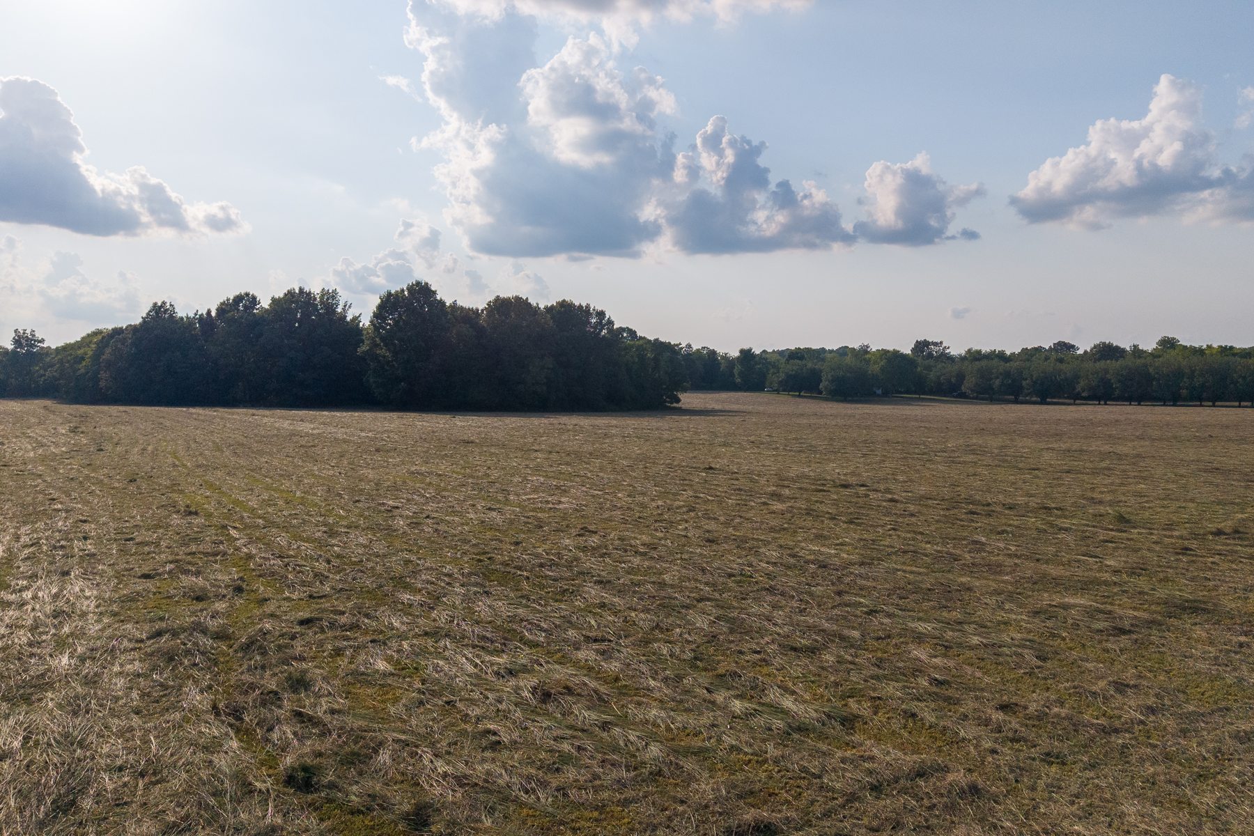 975 Hant Hollow Road — open fields