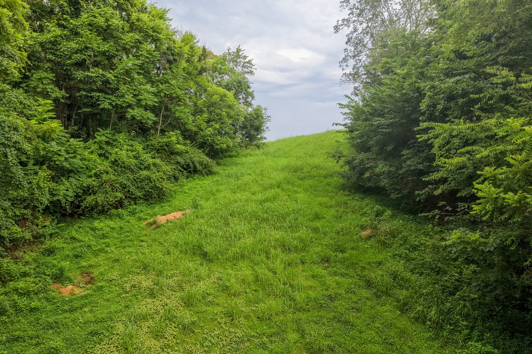 Lot 7 Skyridge Lane — woodland edge