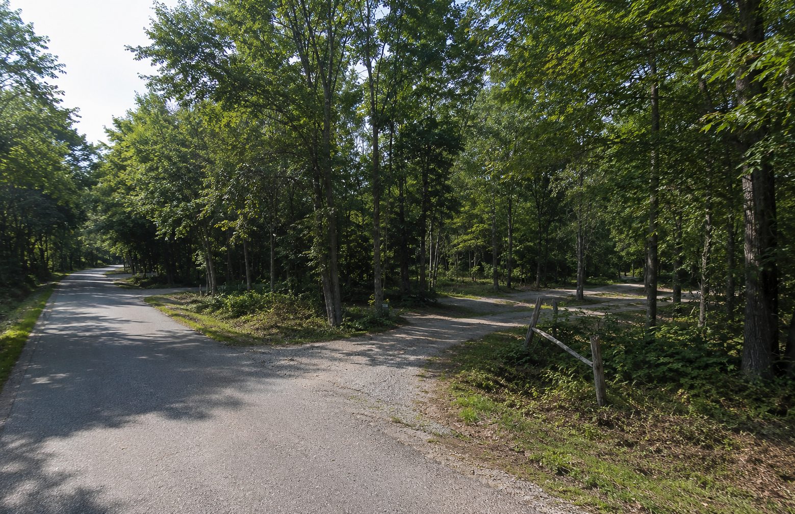 Manire Road — the existing drive