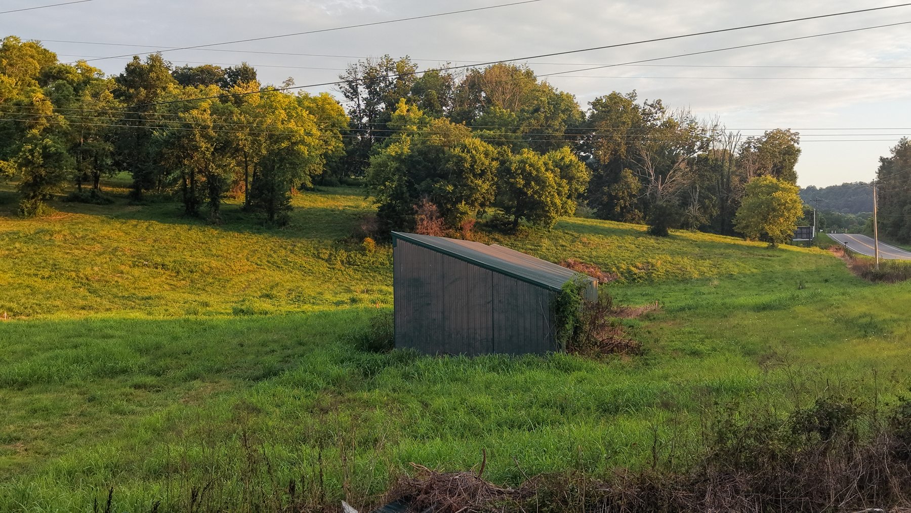 McLaughlin Road Lot 1 — among the trees