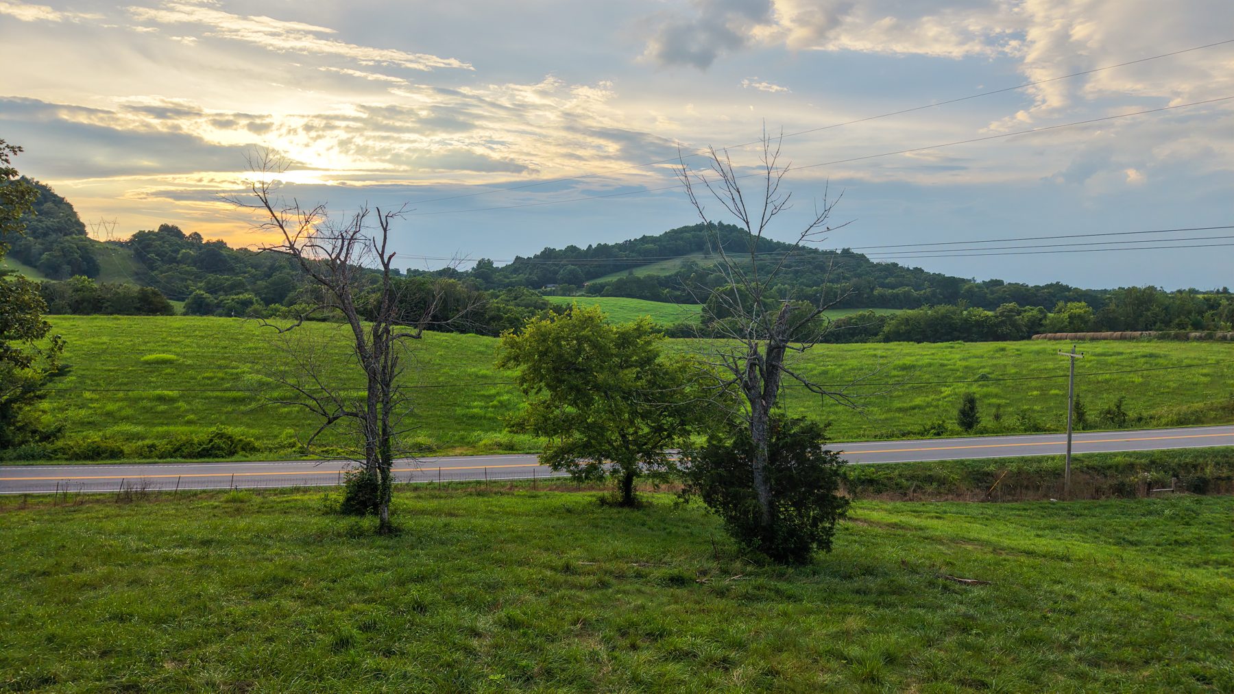 McLaughlin Road Lot 2 — evening light