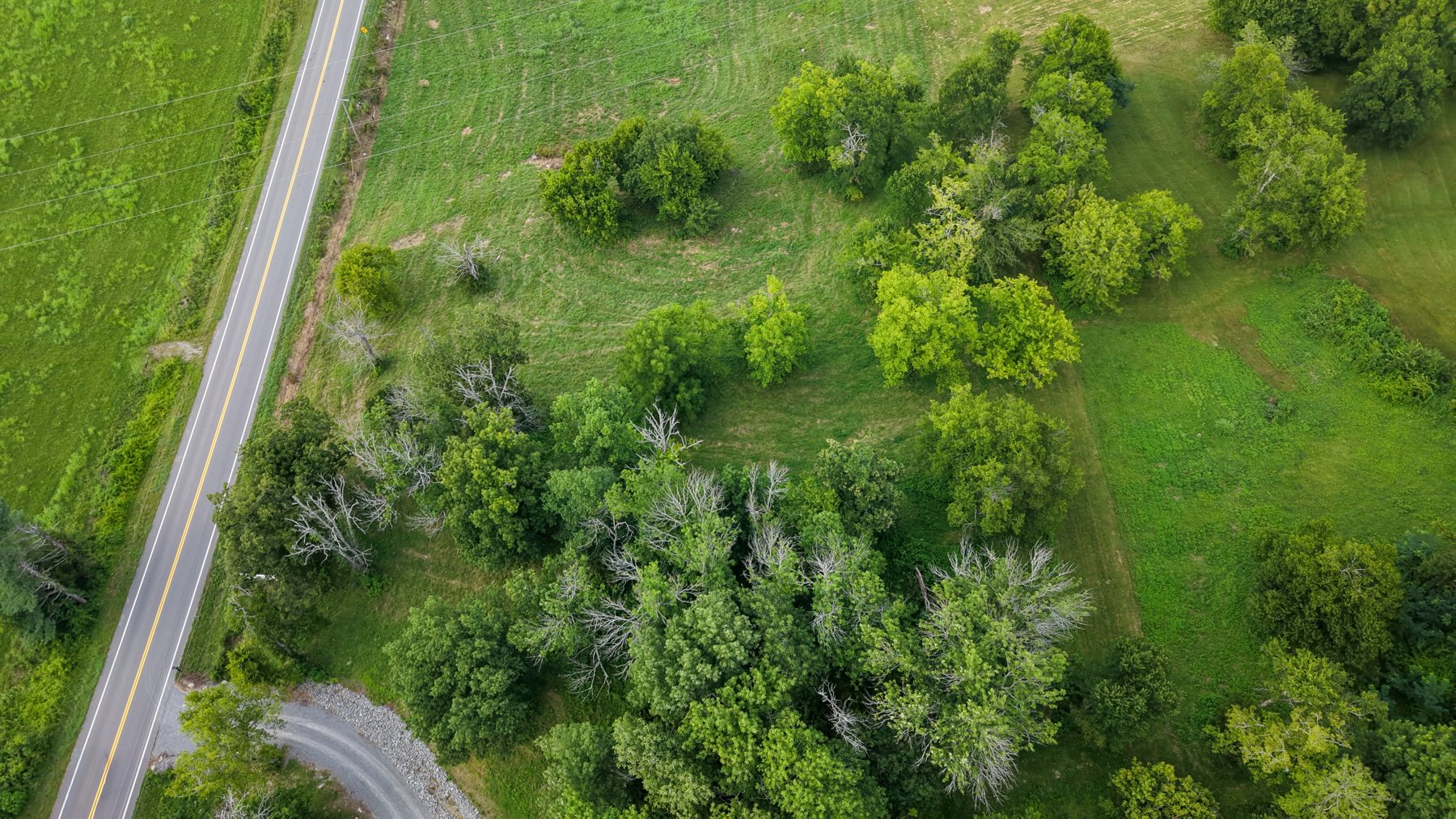 McLaughlin Road Lot 2 — woodland from above